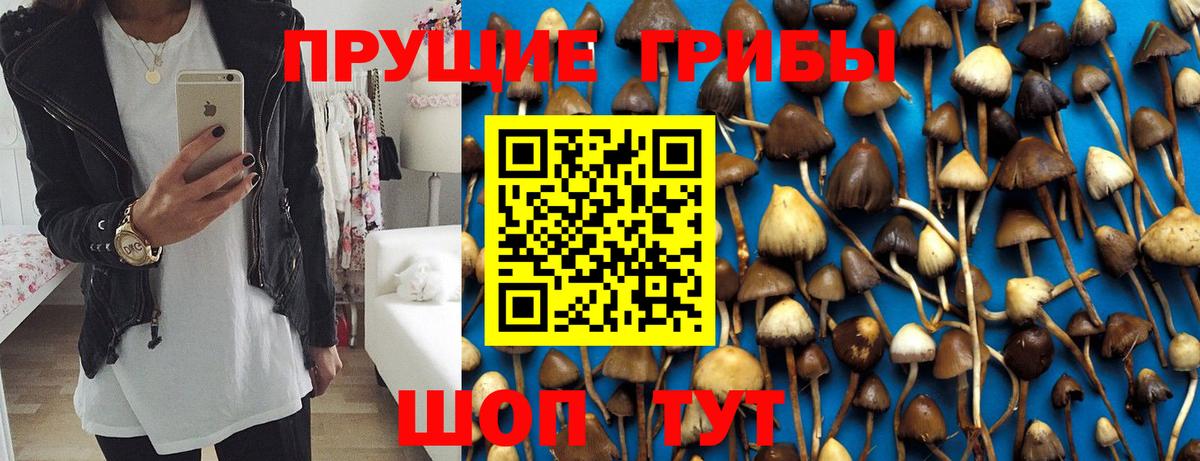 Галлюциногенные грибы мухоморы  Галлюциногенные грибы GOLDEN TEACHER  Вход с VPN  Электрогорск 